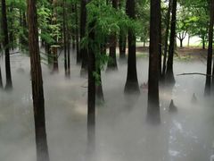-东湖落雁景区