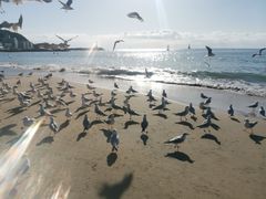 -海云台海滩