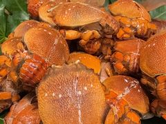 -初色海鲜自助(万丰路店)