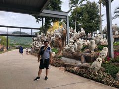 -东芭乐园