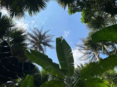 -西双版纳总佛寺