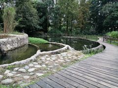 -成都市活水公园