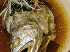 翅汤东海大黄鱼-江太极江浙菜(马桥万达广场店)