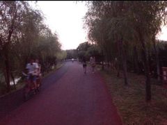 -艾溪湖湿地公园