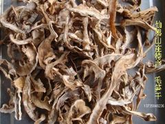 -仙山谷激浪漂流