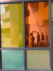 -上海交通大学医学院附属上海儿童医学中心(陆家嘴总院区)