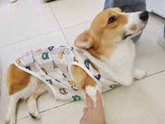 -怪兽屋·羊驼·猫咖·狗咖(俊华广场店)