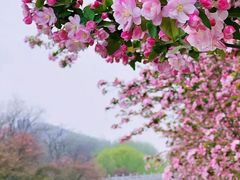 -元大都城垣遗址公园