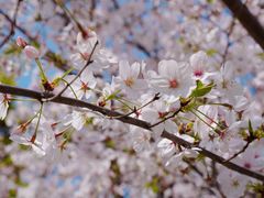 -龙美术馆(西岸馆)