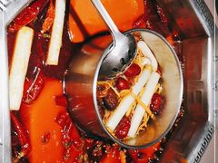 -蜀九香火锅(九眼桥店)