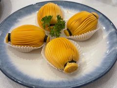 -金粤九号(李公堤店)