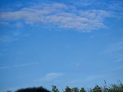 -春花秋色城市公园