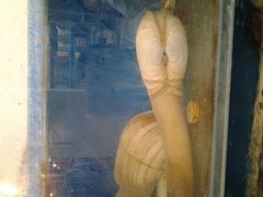 android_upload_pic-小铜锣湾海鲜家常菜馆(河西店)