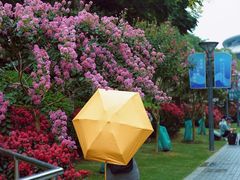 -杭州城北体育公园