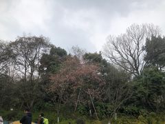 -杭州少年儿童公园