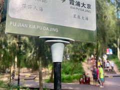 -大京沙滩