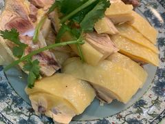 -九斤黄三黄鸡专卖店