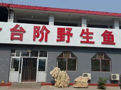 门面-金台阶鱼馆(于桥水库店)