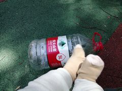 -经纬·泓汇地标家园