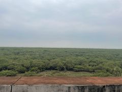 -北海金海湾红树林生态旅游区