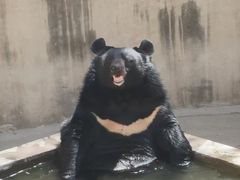 -保定市动物园