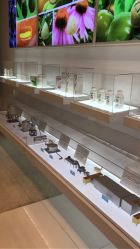 -安利上海体验馆