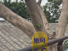 -糖房咖啡(南锣鼓巷店)