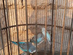 -老味道民宿(栈桥店)