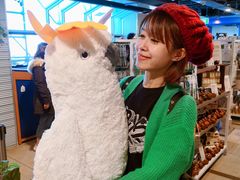 -费瑟代尔野生动物园