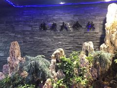 -陈老大冷饮厅(金街广场店)