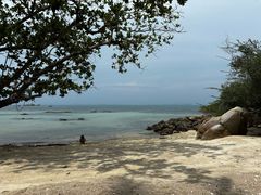 -Jomtien Talay Pao Pattaya
