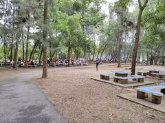 -南宁良凤江国家森林公园