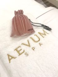 -奥斯芬欧系贵族SPA