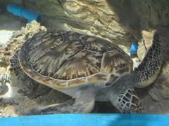 -成都浩海立方海洋公园