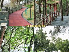 -重庆彩云湖湿地公园