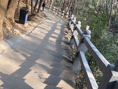 -惠山国家森林公园