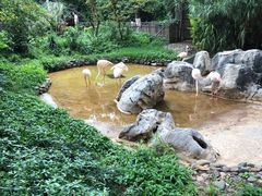 -昆明动物园