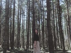 -石棉县孟获城
