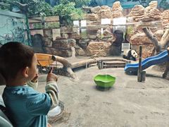 -石家庄市动物园