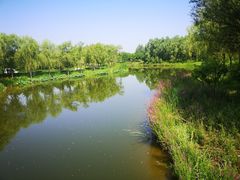 -东郊湿地公园