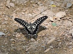 -碓臼峪自然风景区