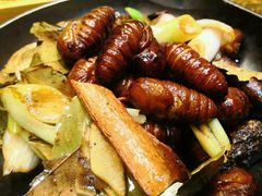 -老江南春·中国龙菜(衡山路店)