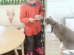 -李小姐の猫咖啡馆(五角场店)