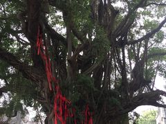 -烟桥古村