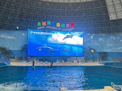 -泉城欧乐堡海洋极地世界