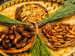 -昆虫窝子·特色云南菜(拓东路总店)