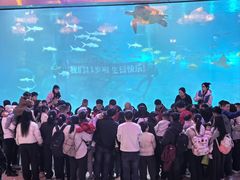 -福州罗源湾海洋世界旅游区
