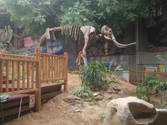 -中国第四纪冰川遗迹陈列馆