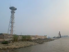 -大湾区中央湿地公园