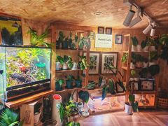 -Rabbit Cafe私房西餐甜点咖啡(栖霞路店)